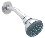 REGAD LIMPIA SARRO BRAZO Y CHAPETON 4506BV